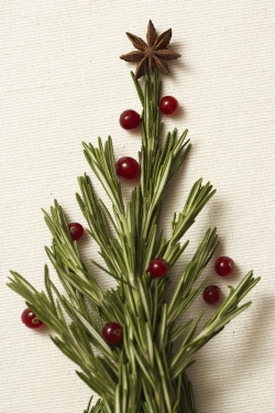 Christmas Cranberry Relish