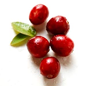 Cranberry Juice Benefits
