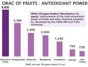 Nutrient Value of Grapes