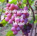 benefits of resveratrol and Wine