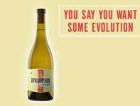 Sokol Blosser Evolution Organic Wine Review